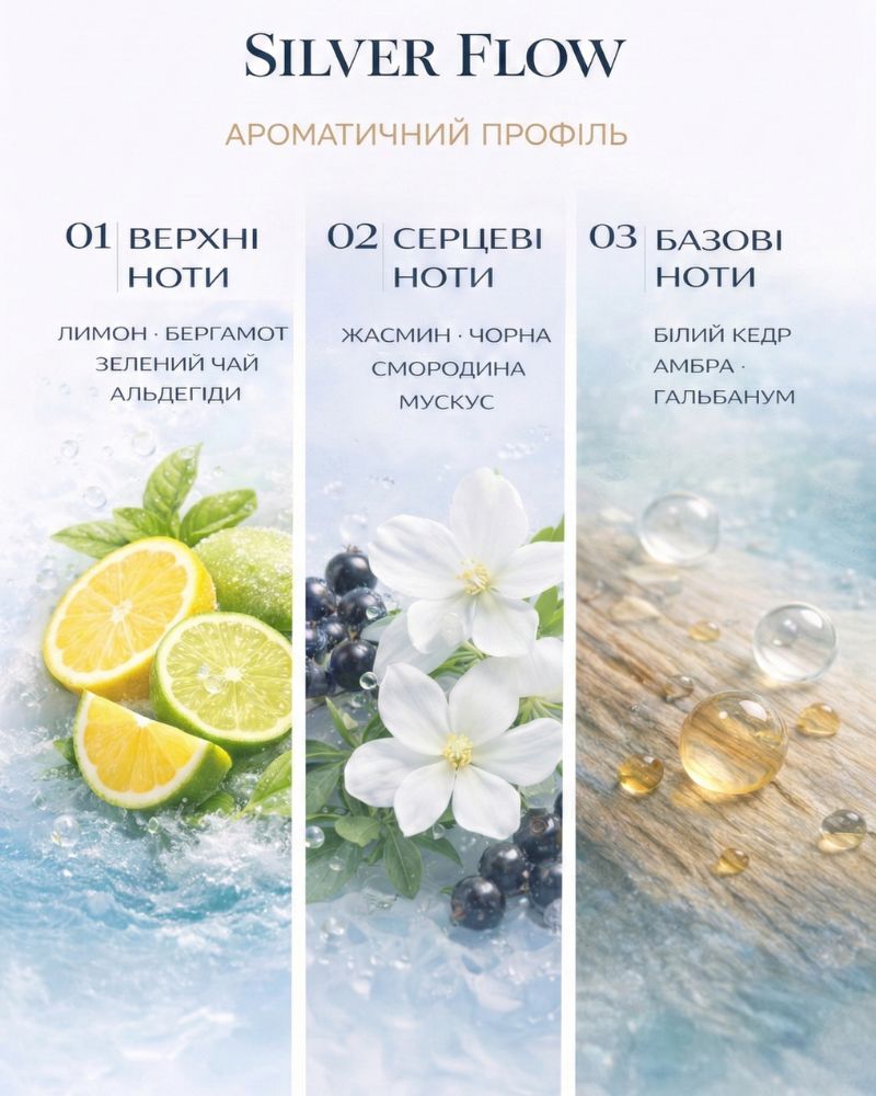 Парфум унісекс Franterro Silver Flow 50 мл (FRN-1008)