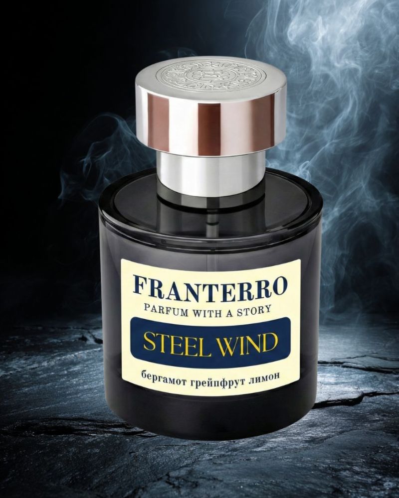 Парфум чоловічий Franterro Steel Wind 50 мл (FRN-1009)
